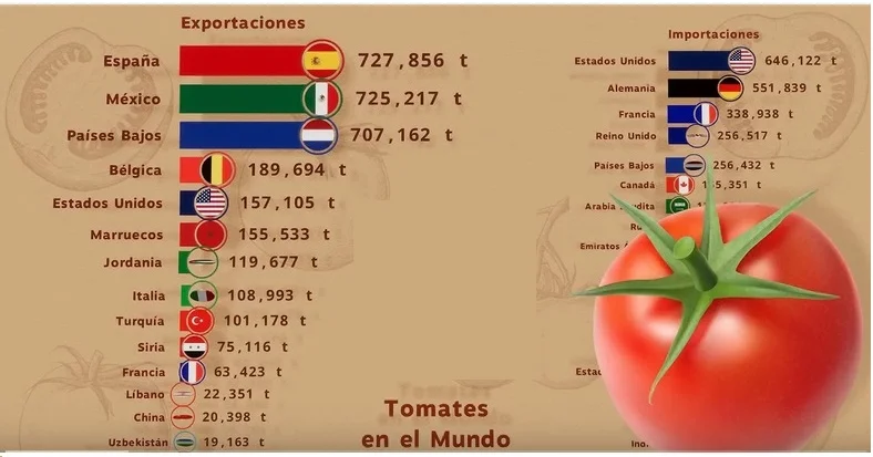 comer tomate